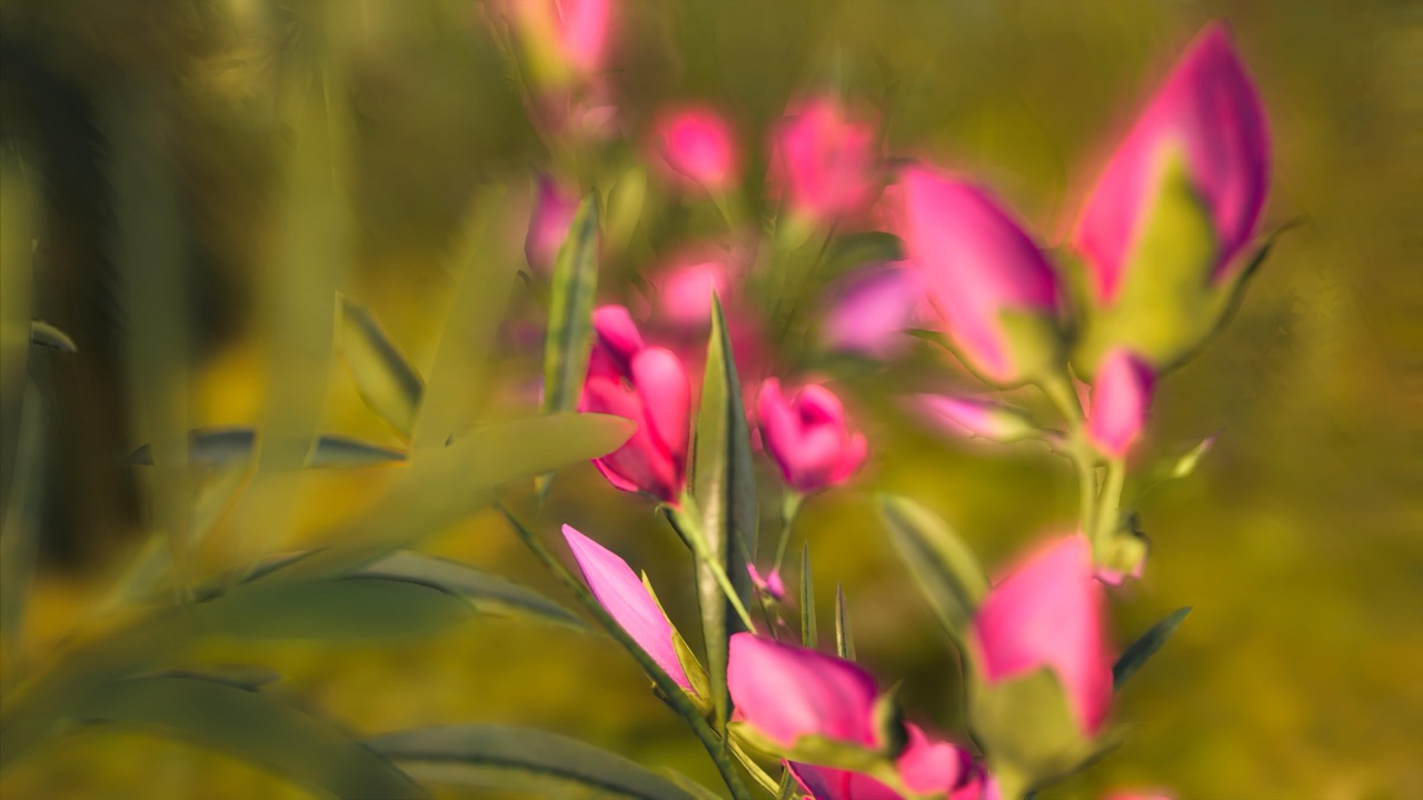 Studies on Breaking Immersion